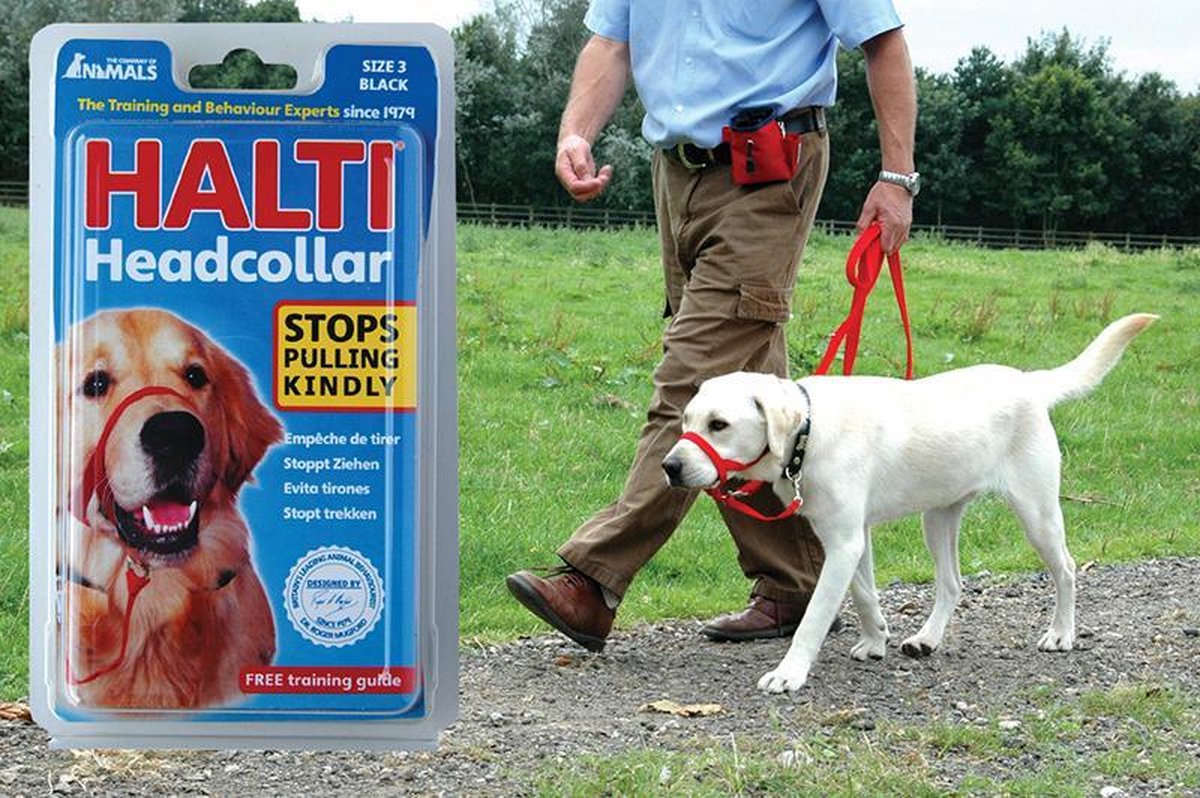 Halti anti-trek halsband nr. 3 - Zwart -bv voor retriever