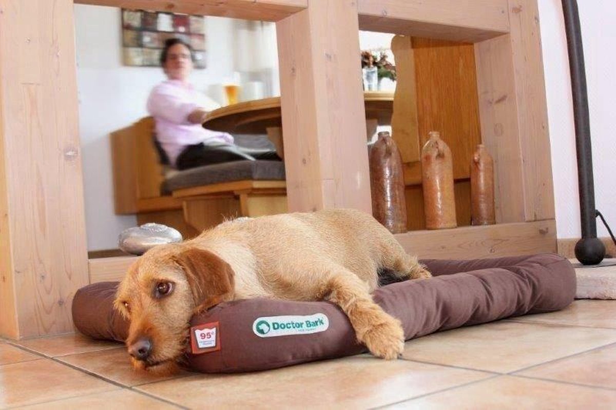 Doctor Bark hondenkussen bruin