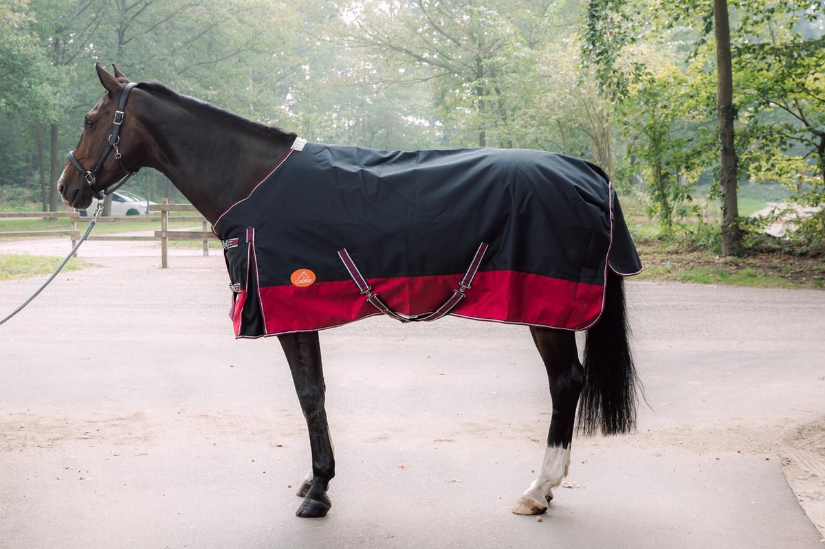 G-Horse | Outdoor Regen/Winter deken | 300 gram | 215 cm | Zwart/rood