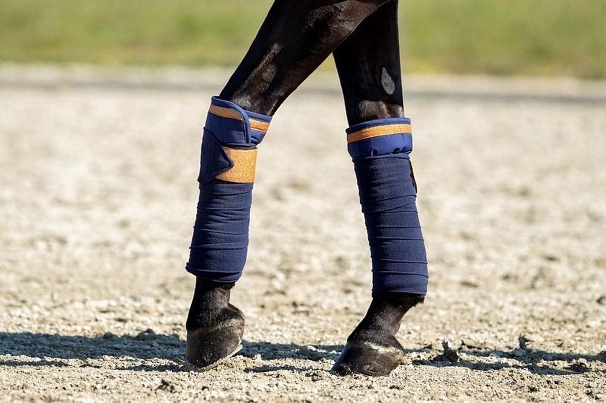 HB Bandages Showtime Blue Moon