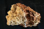 Maple Leaf Rock - aquarium steen
