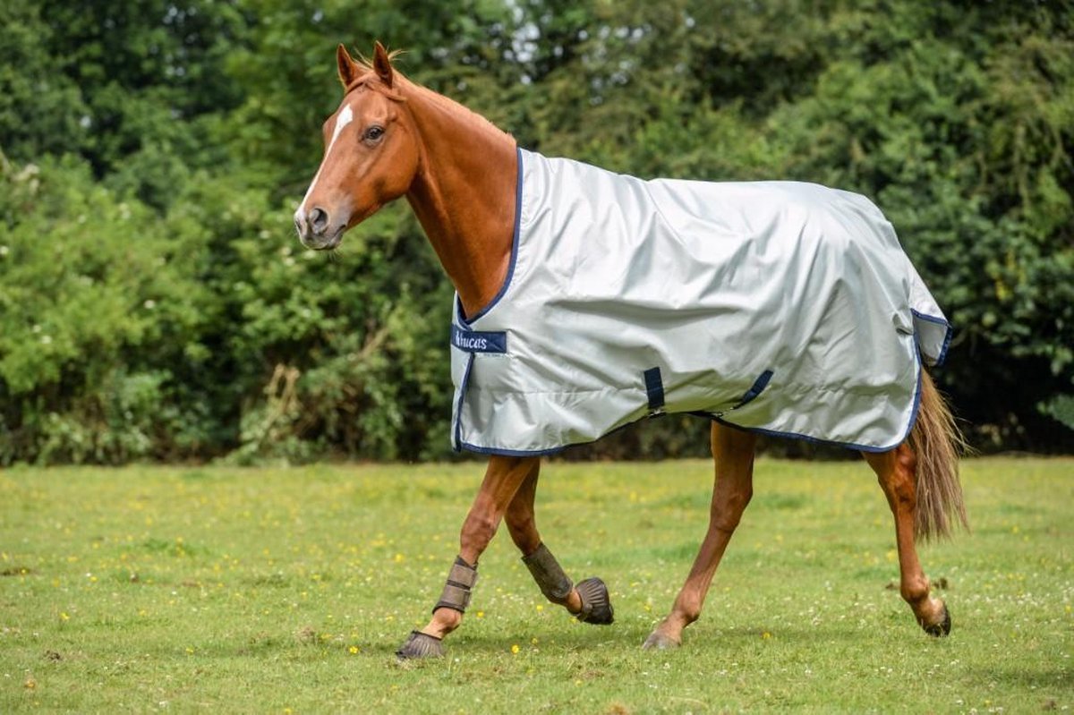 Bucas  Bucas Power Turnout Extra High Neck 140 zilver