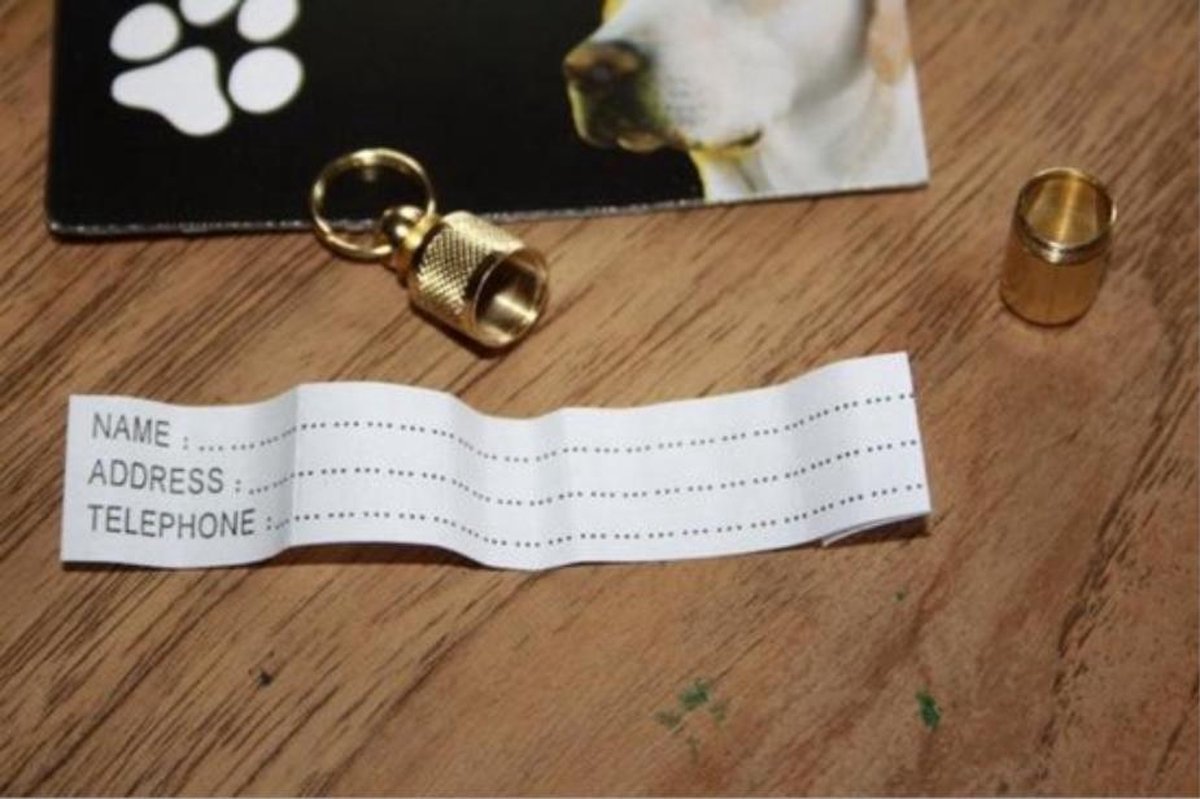 Adreskoker goud kleur - Huisdieren ID kokertje - Hond en of Kat - 3 CM