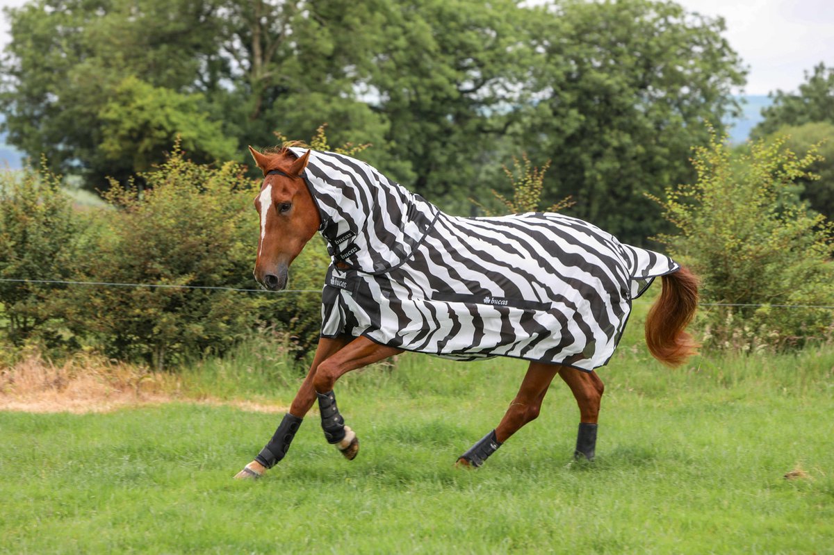 Bucas Buzz-Off Zebra Full-Neck 114 Zebra