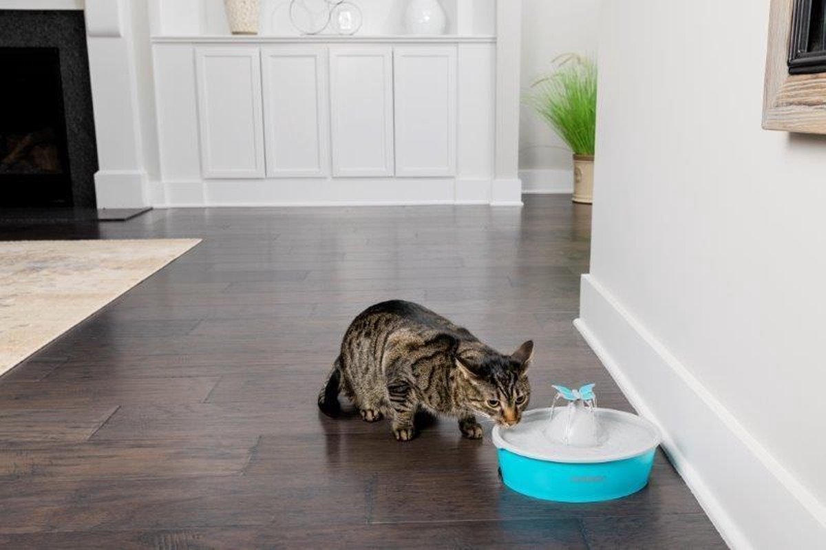 PetSafe Drinkwell® Butterfly Pet Fountain - Drinkfontein voor katten en kleine honden - Met 4 vrijvallende waterstromen of rustige
