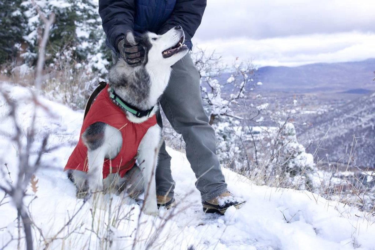 Thermo Warme Jas voor Honden - Reversible