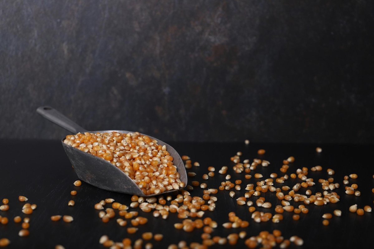 Popcorn mais | Pofmais |Mais | perfect voor een popcornmachine | 2 kg