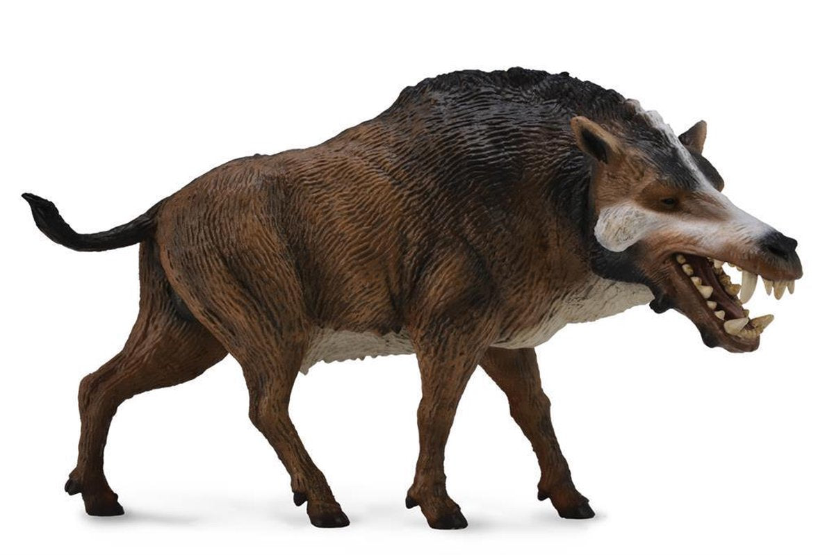 Collecta Dinosaurus Daeodon Schaal 1:20