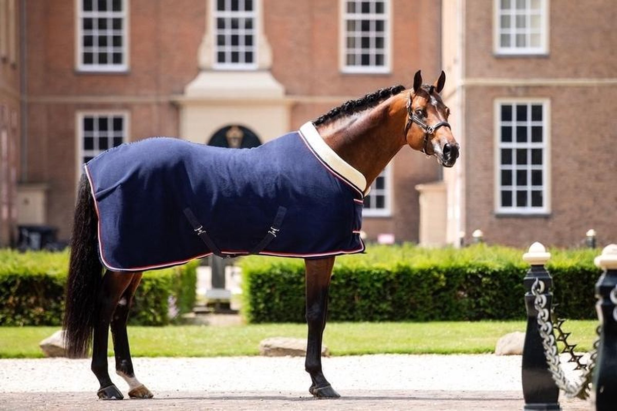 HB Polar 400 Dutch Crown Showdeken - Paardendeken - Blauw - 155