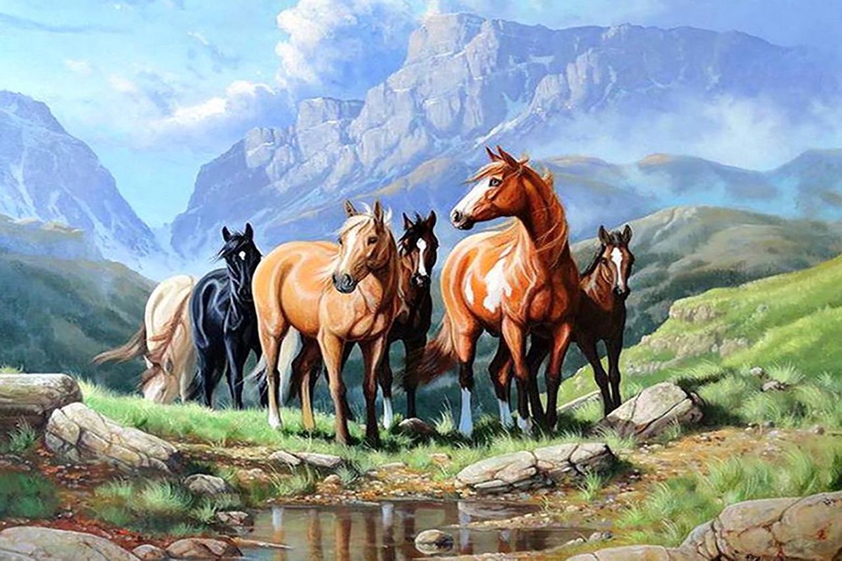Diamond Painting Paarden - 35 x 50 cm - Zelf Tekenen - Diamanten Tekening – Speelgoed