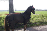 HB Men Vliegendeken met hals