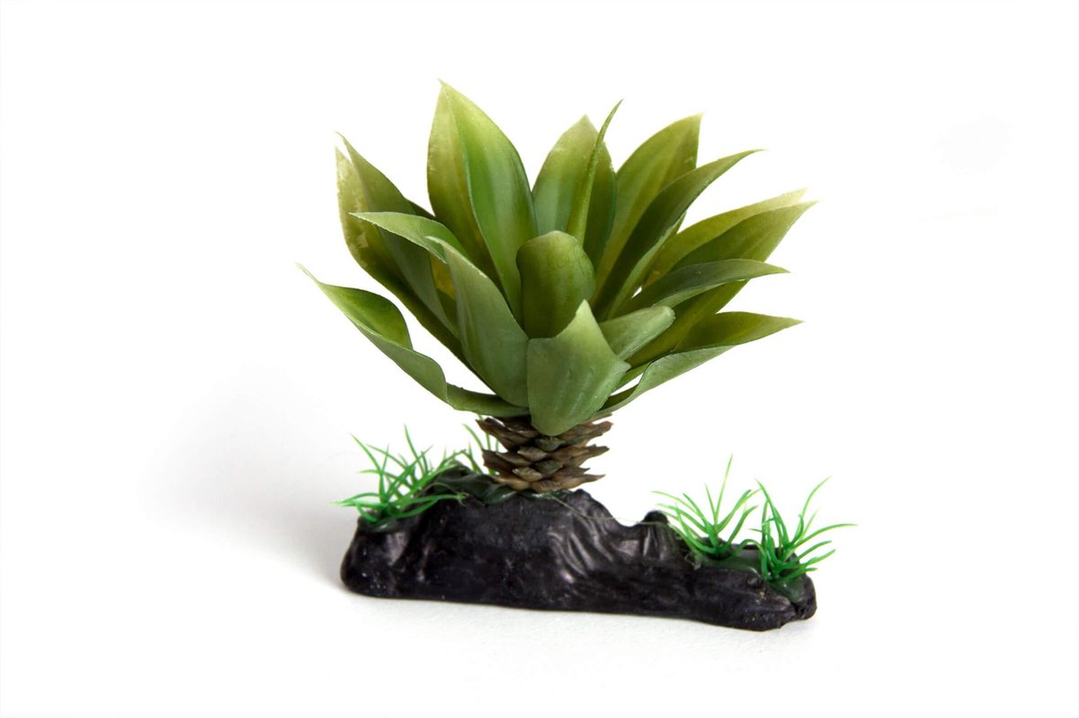 RepTech Terrarium Plant Thick Succulent