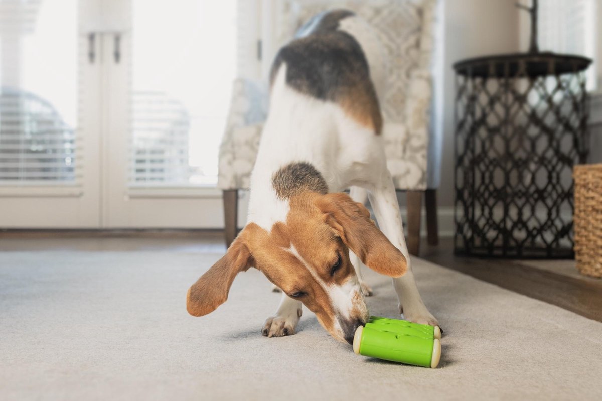 PetSafe Ribinator - Traktatie Hondenspeelgoed - Vul met  Traktatiestokjes en Smeerbare Lekkernijen - Large