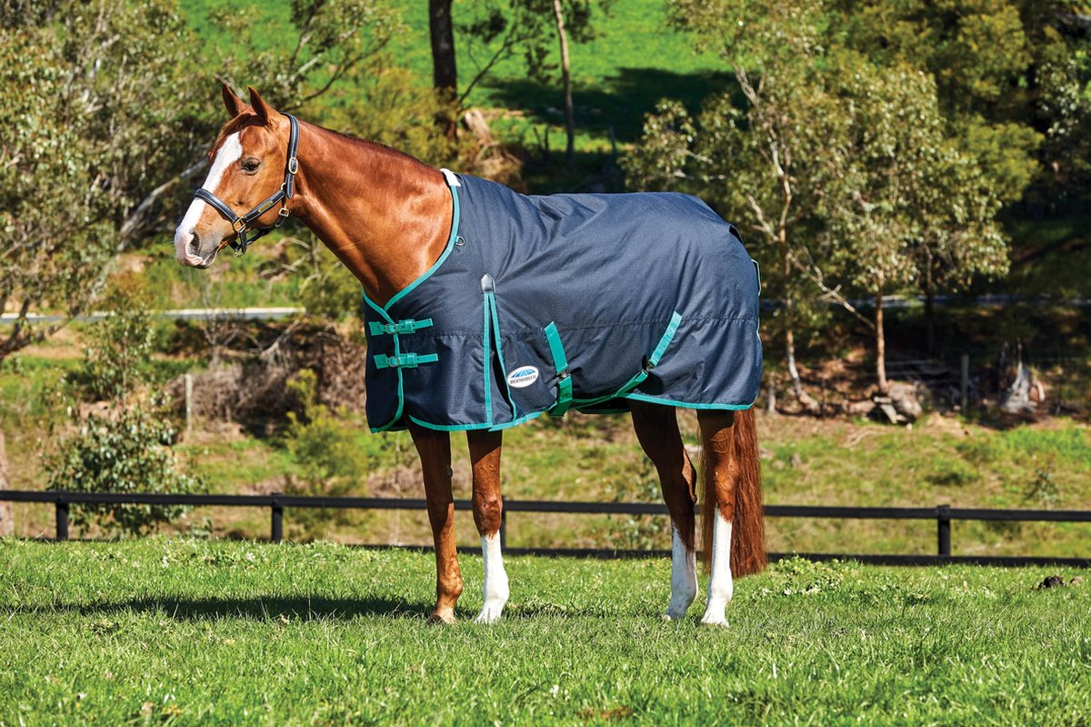 RelaxPets - Weatherbeeta - CoFiTec - Classic - Waterdicht - 220 Gram - 600 Denier - 210 cm