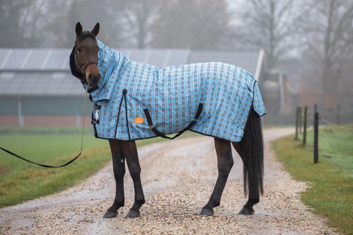 G-Horse | Outdoor Regen/Winter deken | 0 gram | 205 cm | Blueberry