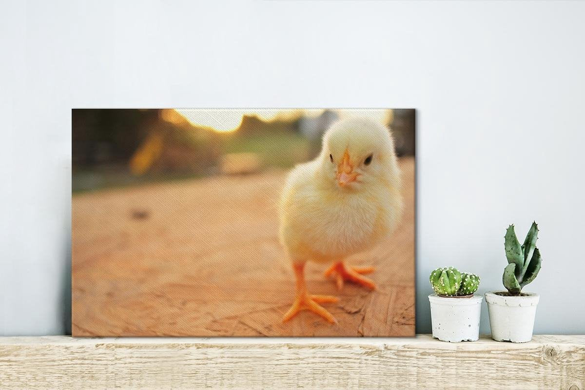 Baby kuiken op een houten tafel Canvas 30x20 cm - klein - Foto print op Canvas schilderij (Wanddecoratie woonkamer / slaapkamer) / Boerderijdieren Canvas Schilderijen