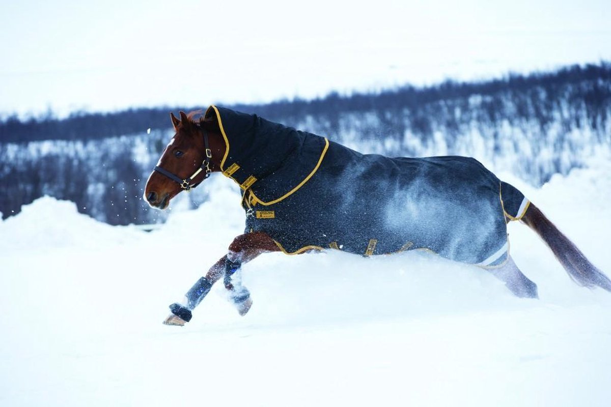 Horseware Rambo Supreme Turnout Heavy 420G 160/213 cm Zwart-Goud