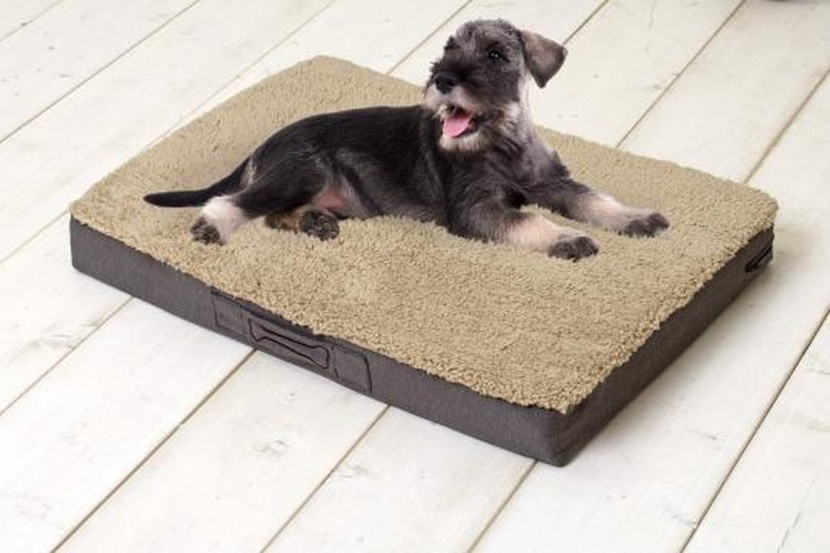 Sun Garden Buddy Orthopedisch Hondenkussen 120x72x10cm Beige