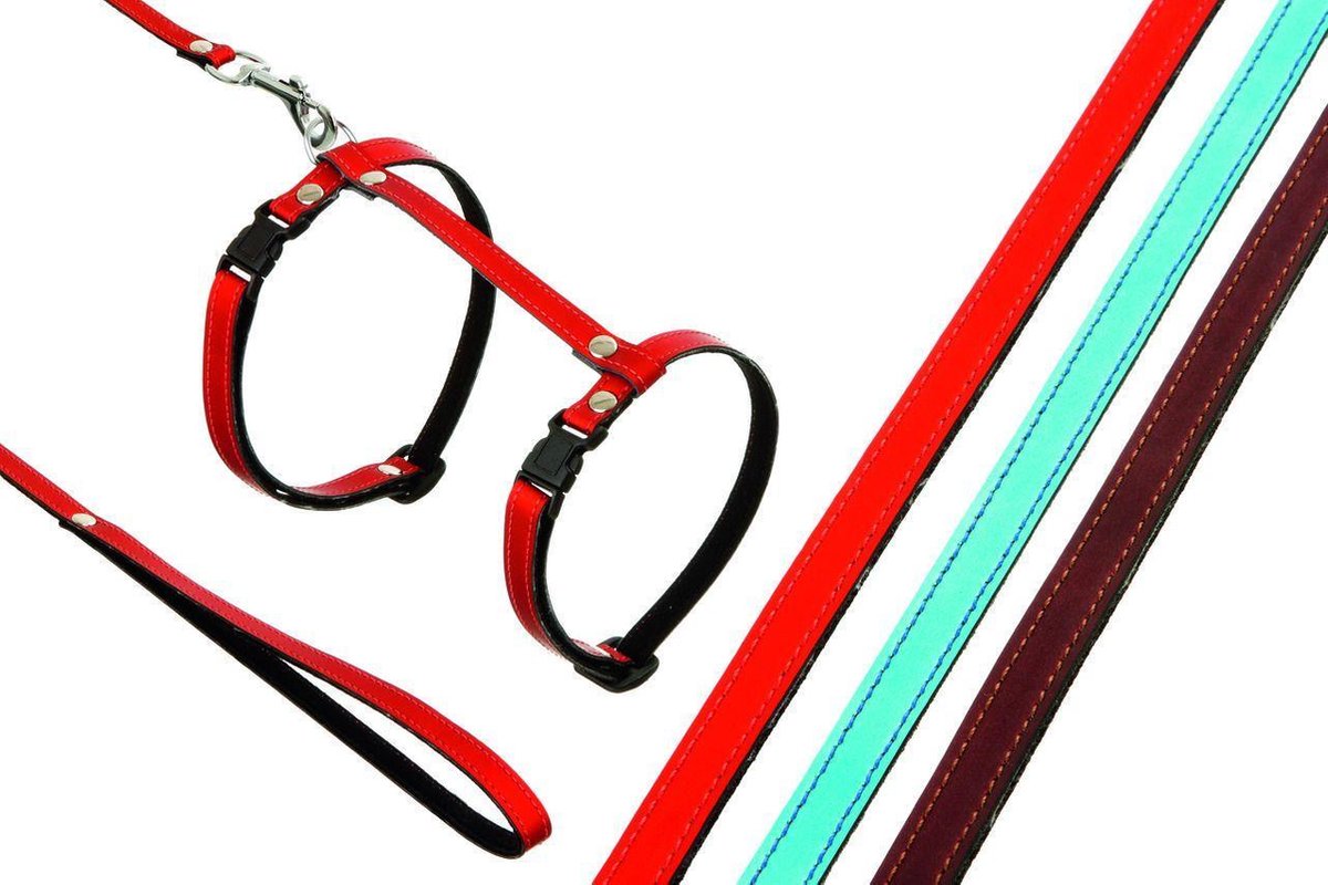Cat harness with leash 110cm