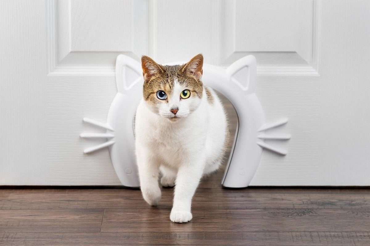 PetSafe Staywell Cat Corridor - Kattendoorgang voor binnenshuis - Overschilderbaar design - Voor katten tot 9 kg - Staywell Cat Corridor