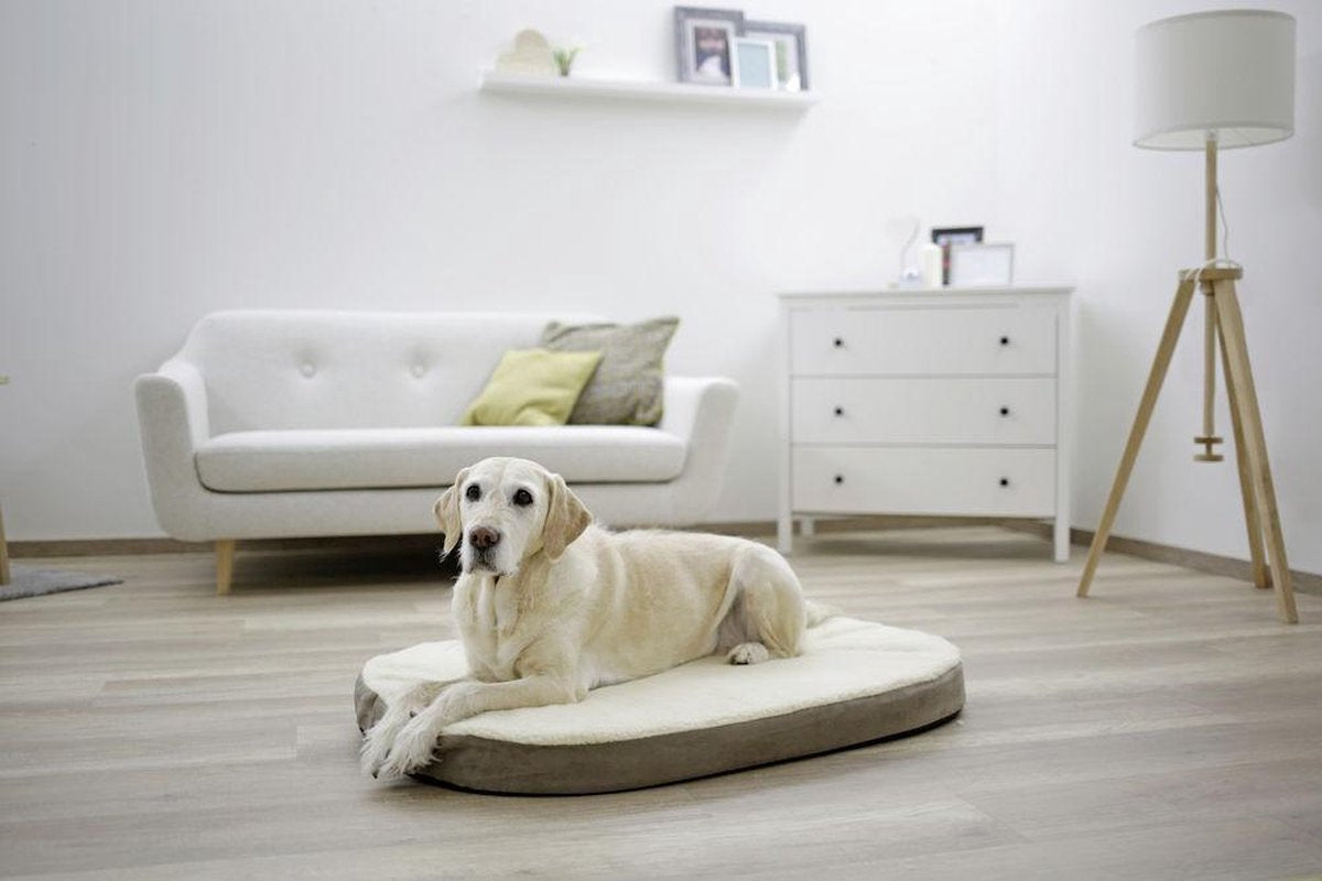 Orthopedisch hondenkussen Ovaal "Beige/grijs" (100*65*8) - orthopedische hondenmand - orthopedische hondenbank
