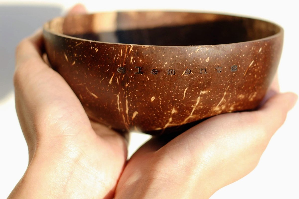 Natural coconut bowl