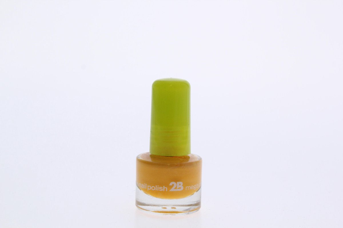 2B-nail polish 5