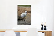 Baby rode flamingo Canvas 40x60 cm - Foto print op Canvas schilderij (Wanddecoratie woonkamer / slaapkamer)
