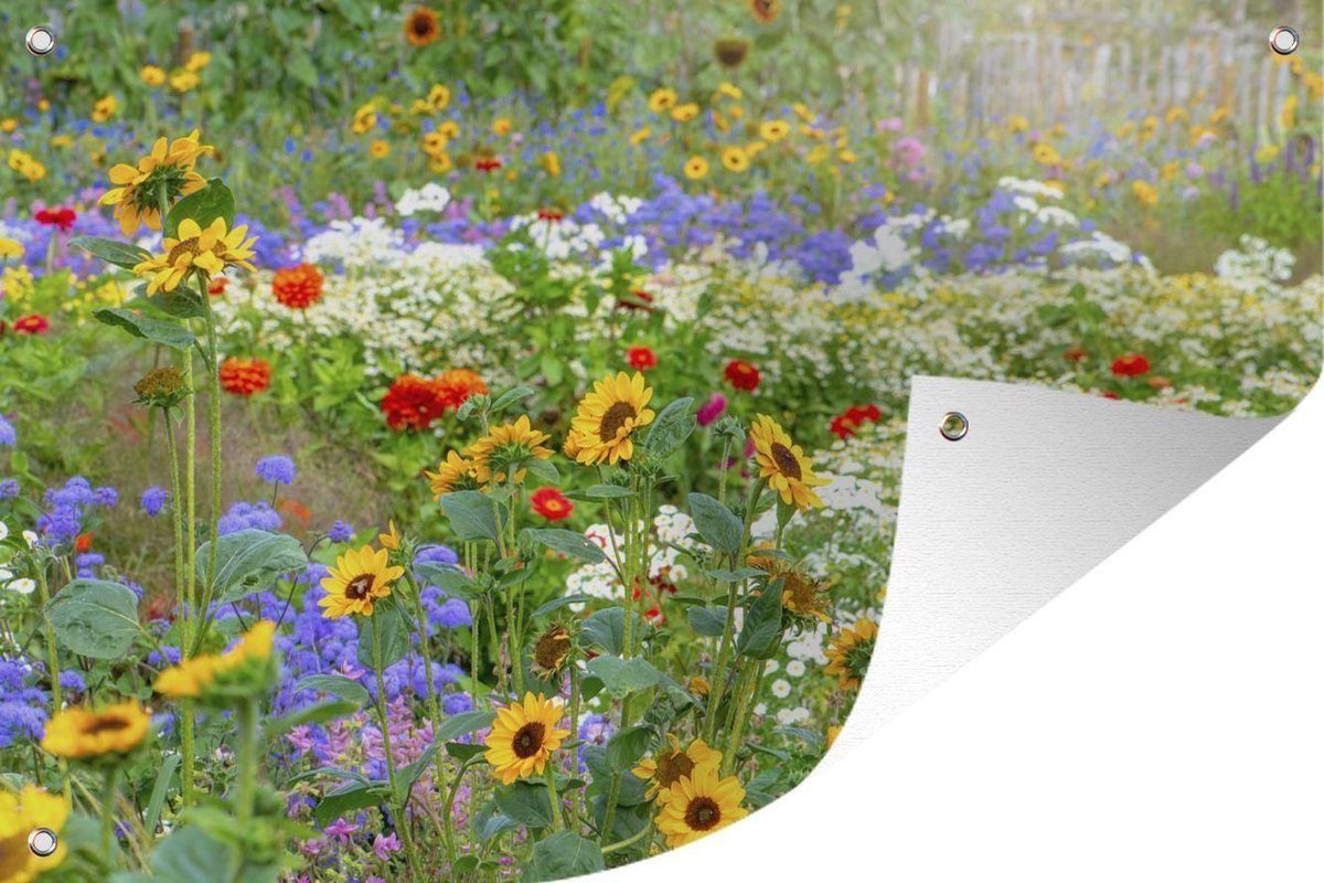 Tuinposter Bloemen - Siergras met verschillende bloemen - 120x80 cm - Tuin