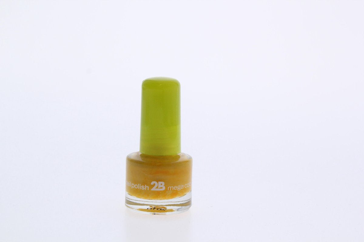 2B-nail polish 5