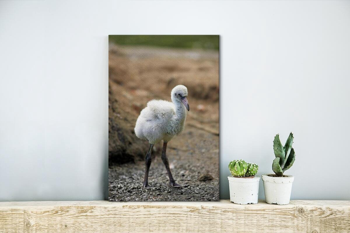 Baby rode flamingo Canvas 20x30 cm - klein - Foto print op Canvas schilderij (Wanddecoratie woonkamer / slaapkamer)