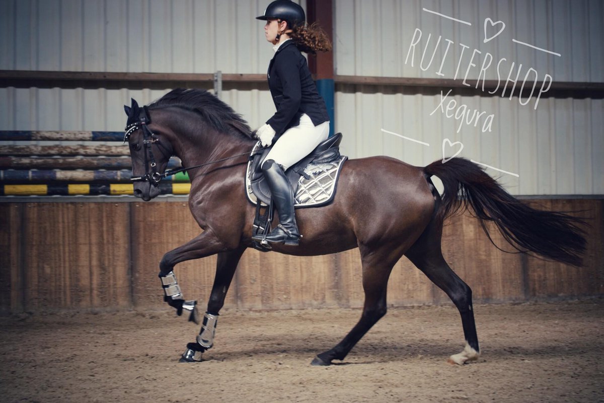 Zilver Holo complete Set PONY -COB -FULL - zadeldek - 2 flextrainers voorr - springschoenen - oornet - ruiter - sport - dressuur - paard - pony