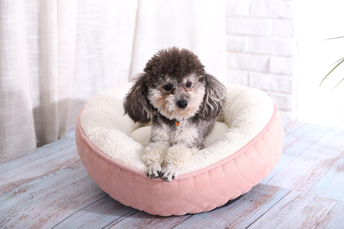 Hondenmand Roze -Hondenbed - dierenmand - H 13CM - Diameter 50 CM