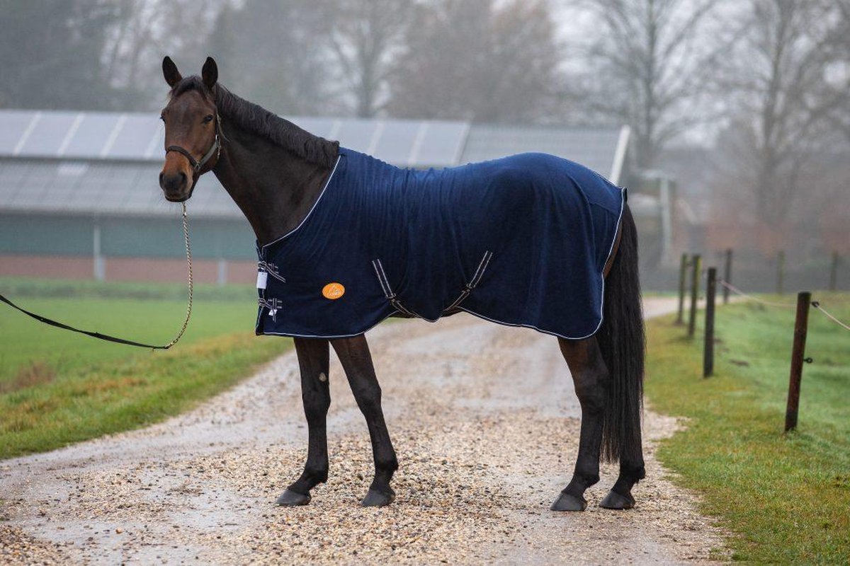 G-Horse | Fleecedeken | 205 cm | Blauw