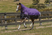 RelaxPets - Weatherbeeta - ComFiTec Plus Dynamic - Medium - Waterdicht - Vaste Hals - 220 gram - 195 cm