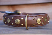 ROYAL TOUGH BROWN HALSBAND HOND 70 X 40 CM