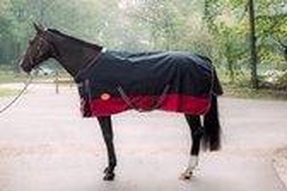 G-Horse | Outdoor Regen/Winter deken | 200 gram | 165 cm | Zwart/rood | 600DN