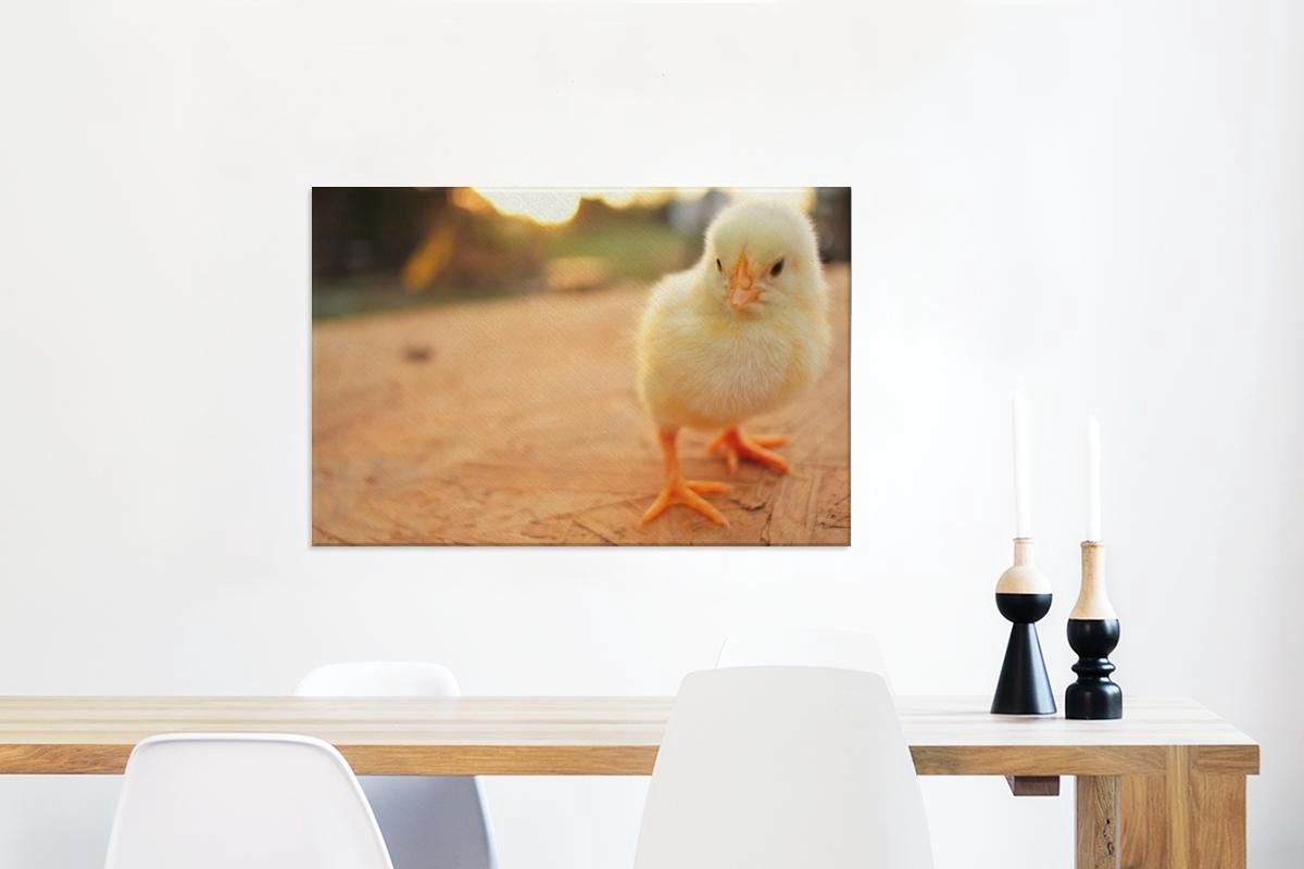 Baby kuiken op een houten tafel Canvas 60x40 cm - Foto print op Canvas schilderij (Wanddecoratie woonkamer / slaapkamer) / Boerderijdieren Canvas Schilderijen