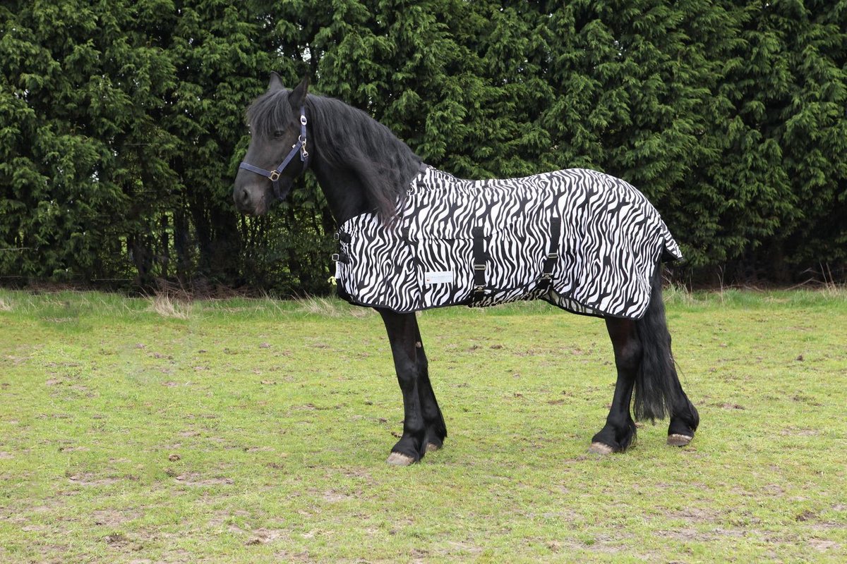 Waldhausen Vliegendeken Zebra Zwart&Wit 195 cm