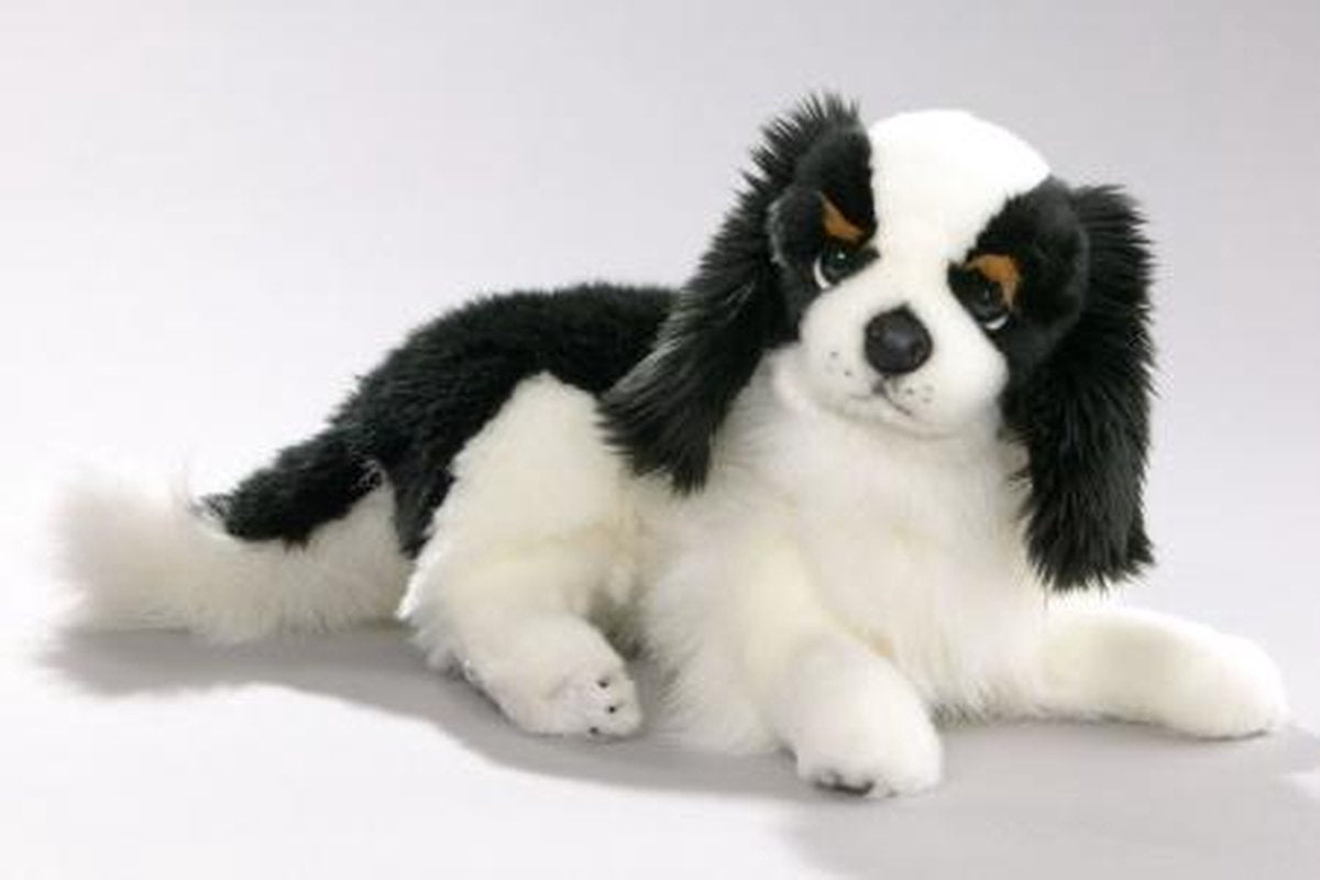 Bicolini King Charles 35cm