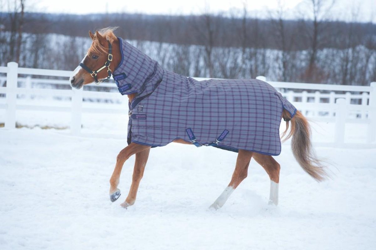 Horseware Rhino Pony All-In-One Heavy 400G Antraciet 115/168 cm