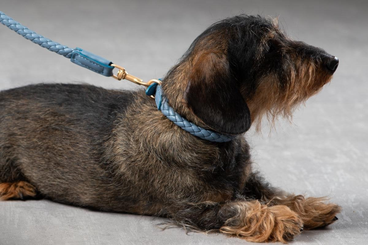 FERDINANDO - 120 CM LEASH DUSTY BLUE