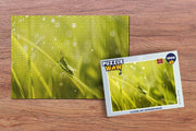 Puzzel 1000 stukjes volwassenen Insecten van Dichtbij 1000 stukjes - Close-up sprinkhaan  - PuzzleWow heeft +100000 puzzels