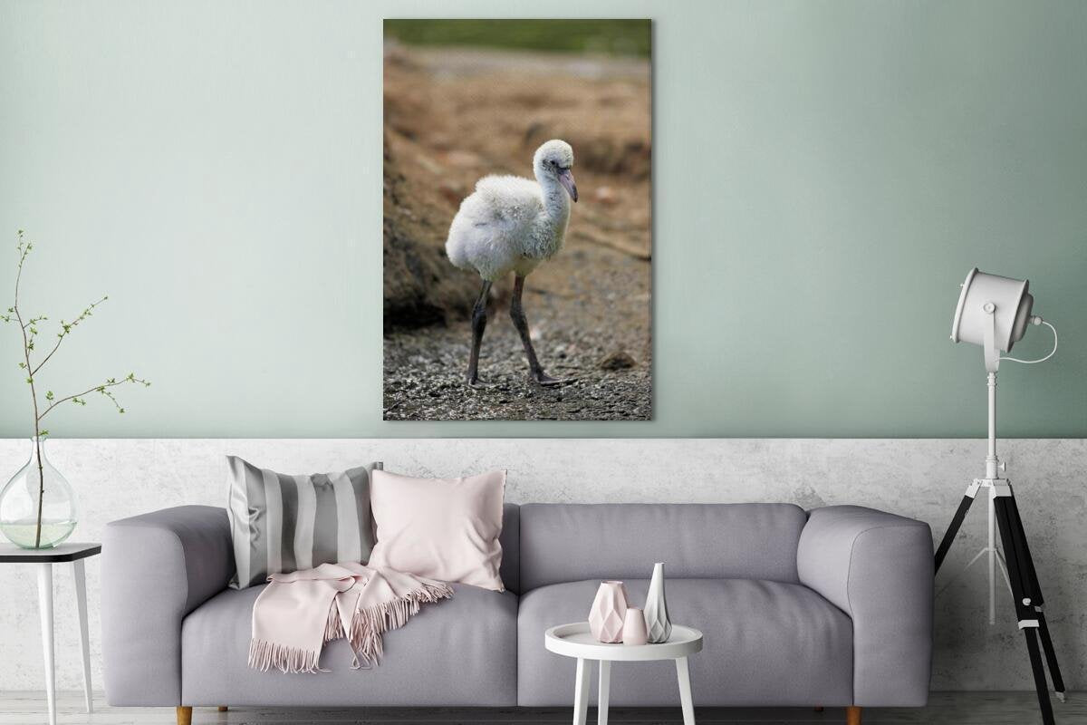 Baby rode flamingo Canvas 80x120 cm - Foto print op Canvas schilderij (Wanddecoratie woonkamer / slaapkamer)