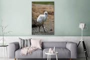 Baby rode flamingo Canvas 80x120 cm - Foto print op Canvas schilderij (Wanddecoratie woonkamer / slaapkamer)