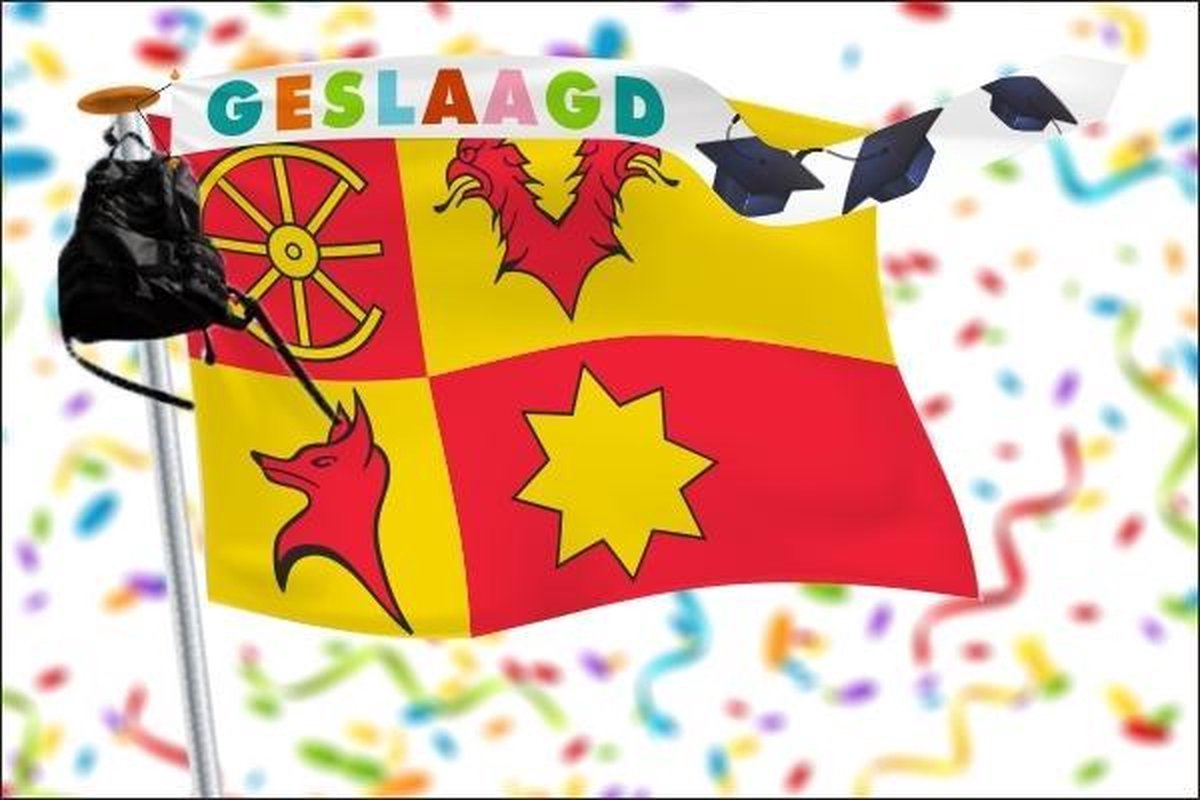 Geslaagd wimpel 25x300cm Vrolijke kleuren
