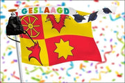 Geslaagd wimpel 25x300cm Vrolijke kleuren