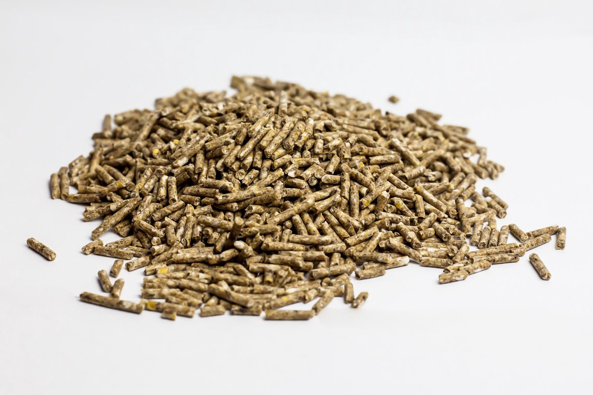 Kuikenkorrels (20KG)