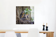 Drie baby roodborstlijsters in een boom Canvas 60x80 cm - Foto print op Canvas schilderij (Wanddecoratie woonkamer / slaapkamer)
