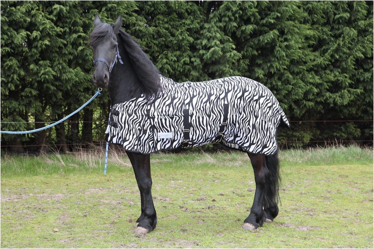 Waldhausen Vliegendeken Zebra - Paardendeken - Zwart/Wit - 205 cm